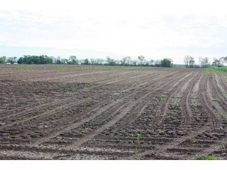 Property photo 71 - LAND AUCTION - 492+/- ACRES OFFERED IN 7 TRACTS IN SULLIVAN & KNOX COUNTIES, INDIANA